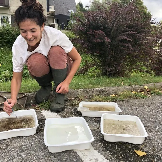 photo c’est l’heure des comptes, au pinceau, dans les bacs où sont versés les prélèvements. fanny darrieu sourit : elle vient de débusquer un fort joli mollusque.  ©  ouest-france