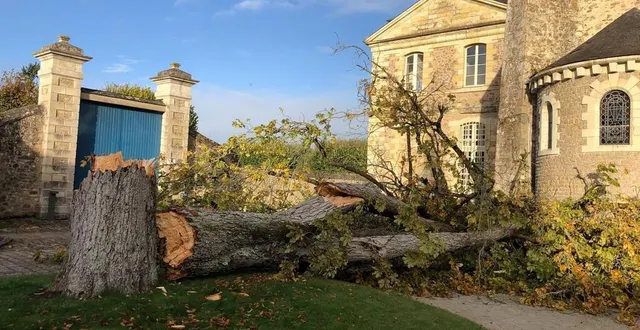 photo  mercredi 20 octobre vers 20 h 45 dans la cour de l’abbaye saint-pierre de solesmes, en sarthe, la tempête aurore a eu raison d’un marronnier centenaire.  &copy;  ouest-france 