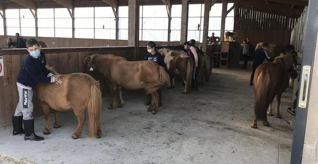 photo  séance de pansage, en présence du directeur des agences de sainte-gauburge et moulin, jérôme marcere, et de serge batrel, président la caisse locale du crédit agricole.  &copy;  ouest-france 