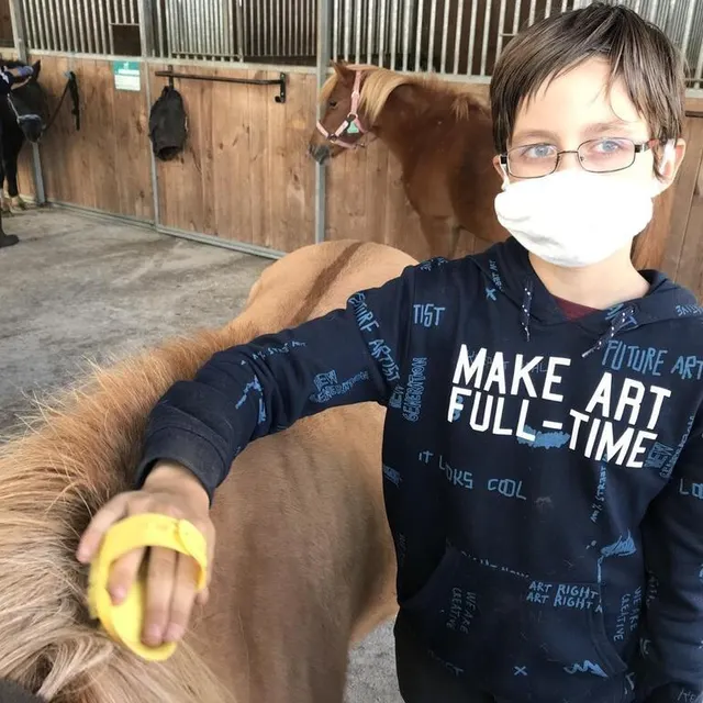 photo mael brosse un poney.  ©  ouest-france
