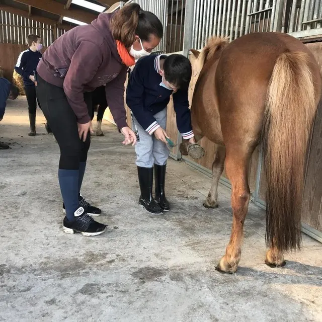 photo amaury cure les pieds.  ©  ouest-france
