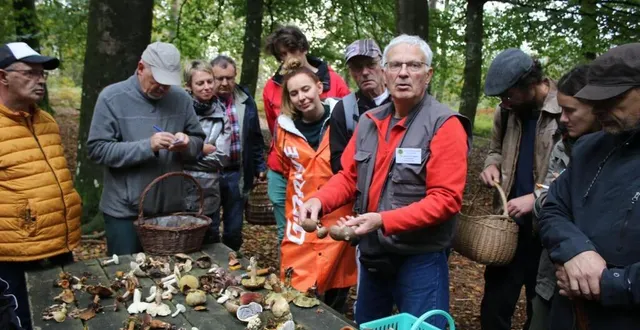 photo  andré février a détaillé les critères d’identification des champignons comestibles et non comestibles.  &copy;  le maine libre 