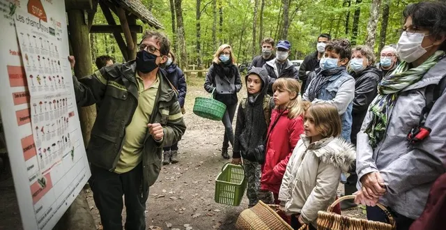 photo  jupilles, octobre 2020. les cueilleurs de champignons sont toujours très attentifs aux conseils donnés ici, par, yvan sevrée, agent de l’onf.  &copy;  archives le maine libre – denis lambert 