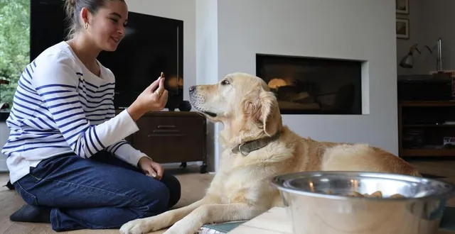 photo  selon une étude américaine, les animaux de compagnie auraient une répercussion sur l’environnement.  &copy;  vincent michel, ouest-france 