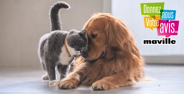 photo 80 millions d'animaux domestiques vivent en france &copy; chendongshan