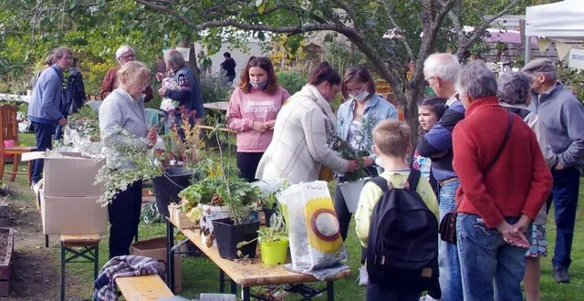 photo  les échanges de graines et boutures ont bien fonctionné.  &copy;  le maine libre 
