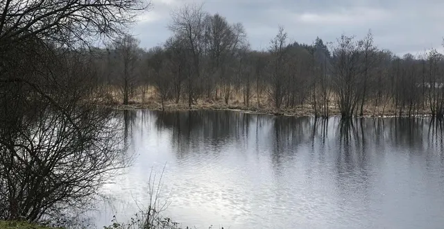 photo  le marais du grand-hazé.  &copy;  archives ouest-france 