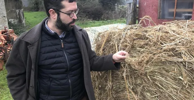 photo  jean foyer, pdg de qairos énergies, développe un projet de production de gaz à partir de chanvre.  &copy;  archives le maine libre 