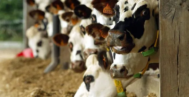 photo  objectif : mettre en œuvre un programme adapté au contexte local.  &copy;  archives le maine libre – hervé petitbon 