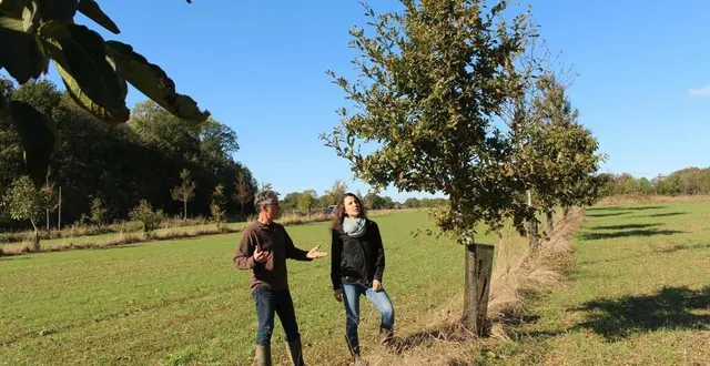 photo  fyé, samedi 23 octobre 2021. bertrand honoré et sa fille tiphaine lisa, sur l’une des parcelles plantées selon le principe de l’agroforesterie.  &copy;  le maine libre 
