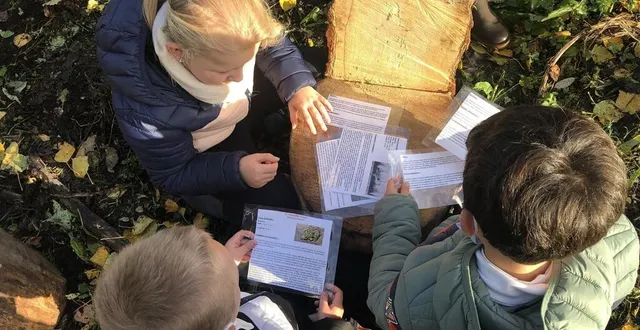 photo  135 élèves de l’école d’oizé ont eu le privilège de découvrir la tourbière lors d’ateliers pédagogiques.  &copy;  ouest-france 