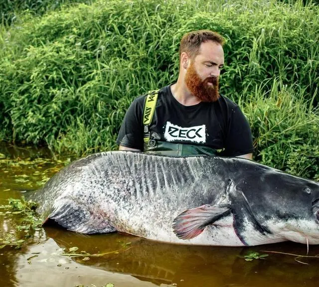 photo jérémy bougon, spécialiste de la pêche au silure, est influenceur sur les réseaux sociaux  ©  photo jérémy bougon