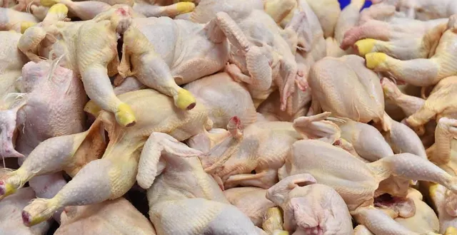 photo  dans la nuit du 19 au 20 octobre, près de 500 volailles ont été dérobées dans l’entreprise gacé volailles (photo d’illustration).  &copy;  archives thomas brégardis / ouest-france 