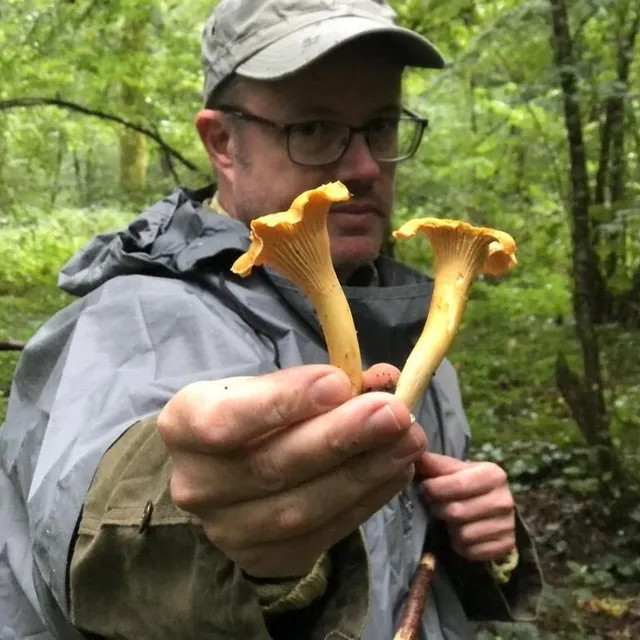 photo les deux premières girolles, avant une bonne poignée !  ©  ouest-france