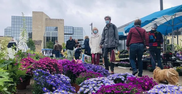 photo  les fleuristes sont désormais installés entre les voies du tram et l’esplanade des jacobins.  &copy;  archives le maine libre 