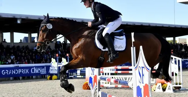 photo  le mondial du lion, au lion-d’angers, en octobre, est l’un des événements équestres les plus importants au monde. il est l’un des exemples du dynamisme économique de la filière équine en maine-et-loire.  &copy;  archives ouest-france 