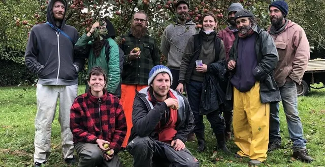 photo  en l’espace d’une matinée, les empommé.e.s et leurs amis ont ramassé près de deux tonnes de pommes, à cerisy-belle-étoile, dans l’orne.  &copy;  ouest-france 