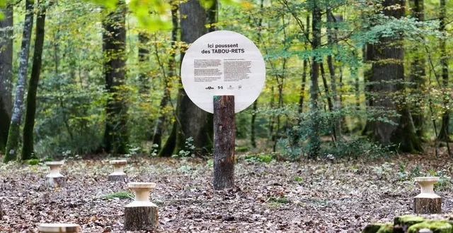 photo  une chasse insolite dans la forêt de bercé.  &copy;  onf 