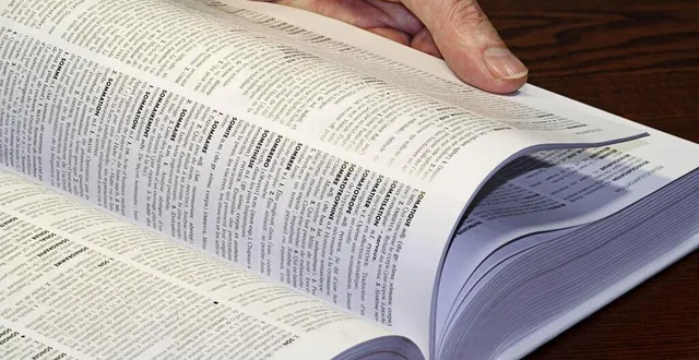 photo  le dictionnaire le robert a intégré le pronom « iel » à sa version en ligne.  &copy;  fotolia archives 