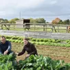photo  anne et cédric cultivent désormais des légumes de saison dans les espaces occupés jusqu’à il y a peu par un centre équestre. 