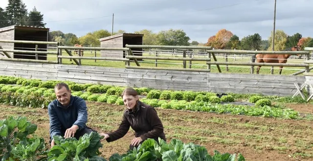 photo  anne et cédric cultivent désormais des légumes de saison dans les espaces occupés jusqu’à il y a peu par un centre équestre.  &copy;  le maine libre 