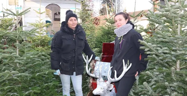 photo  manuella guépin et sa fille alicia installent sapins et illuminations dans le jardin pour accueillir le public dès samedi.  &copy;  ouest-france 