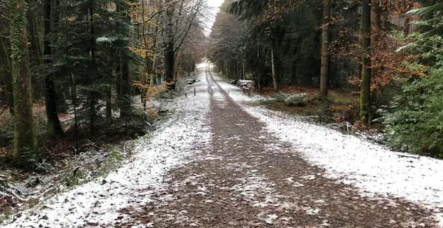 photo  il reste encore un peu de neige en forêt d’écouves, dans l’orne, ce samedi midi, où les flocons ont fait leur apparition pour la première fois de l’hiver.  &copy;  ouest-france 