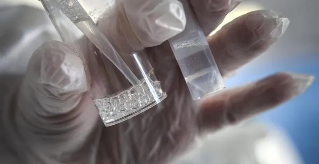 photo  l’école est fermée et des tests vont être réalisés.  &copy;  archives le maine libre denis lambert 