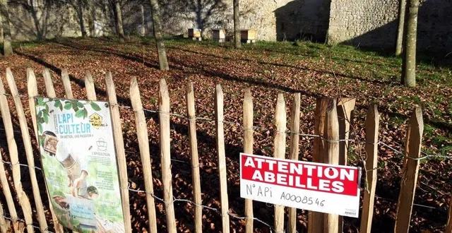 photo  grâce à ses actions en faveur de l’apiculture, la ville a obtenu « deux abeilles » par le label apicité.  &copy;  ouest-france 