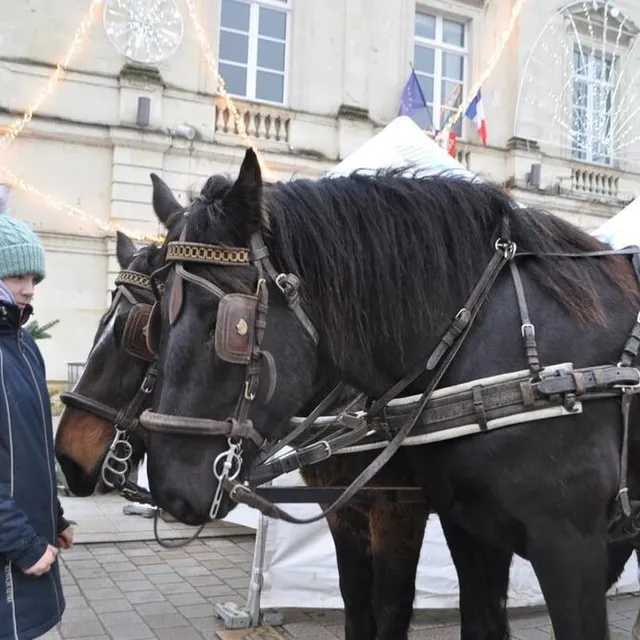 photo des balades en calèche étaient proposées.  ©  le maine libre