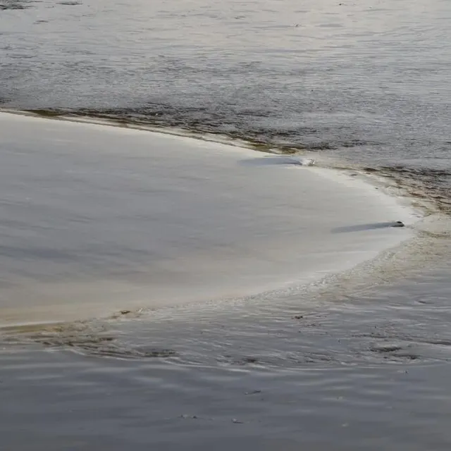 photo œuvre artistique, la bulle géante installée sur la rivière face aux remparts du château, à sablé-sur-sarthe, a semble-t-il coulé, ce dimanche 5 décembre 2021.  ©  ouest-france