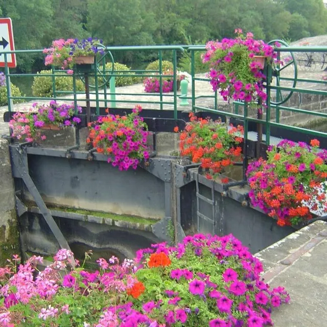 L’écluse de Chaoué à Allonnes, primée. archives Le Maine Libre photo l’écluse de chaoué à allonnes, primée. © archives le maine libre