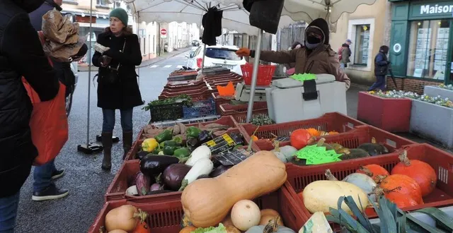 photo  le dimanche matin, martine rouillé continuera de vendre ses légumes originaux sur le marché de rémalard.  &copy;  ouest-france 