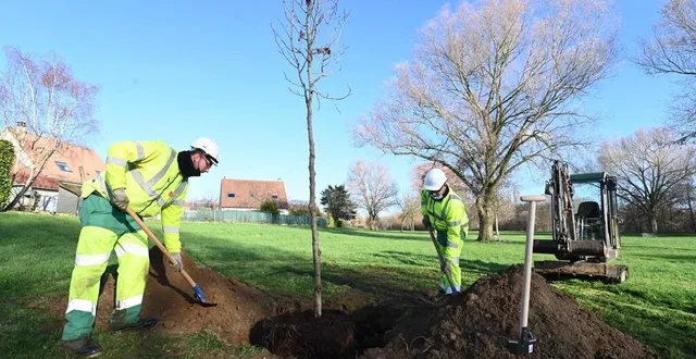 photo  seize arbres seront plantés, cet hiver, dans le parc des gentianes au mans (sarthe).  &copy;  twitter ville du mans 