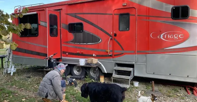 photo  vivre à l’année dans cette caravane offre l’avantage « d’avoir toujours l’impression d’être dehors. il y a tellement de fenêtres ! », se réjouit charlotte, 42 ans, éleveuse de chevaux à challes dans la sarthe.  &copy;  ouest-france 