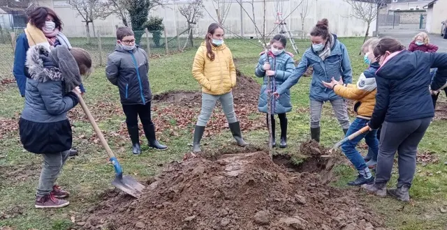 photo  quinze arbres fruitiers, pommiers et poiriers ont été plantés près de l’école par les élèves de cm1.  &copy;  le maine libre 