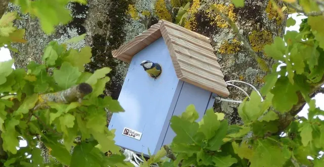 photo  pour agir face à l’effondrement des populations d’oiseaux et au déclin de la biodiversité, la lpo propose de mettre en place des refuges.  &copy;  lpo philippe brisemeur 