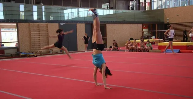 photo  la section gymnastique de l’étoile alençonnaise est en manque d’éducateur.  &copy;  archives ouest-france 