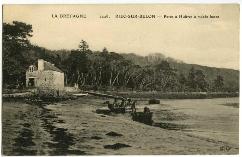 Huitres Cadoret  Riec-sur-Bélon