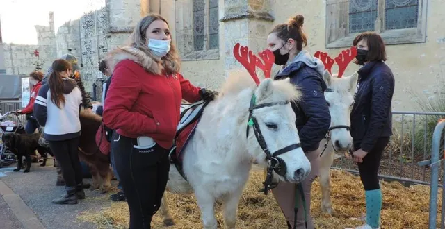 photo  les écuries de la fouardière avaient équipé leurs poneys de bois de rennes pour emmener les enfants en promenade.  &copy;  ouest-france 