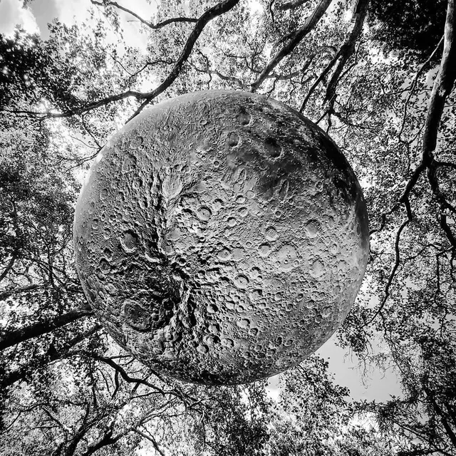 La lune géante installée dans le parc de Tessé, au Mans en septembre 2021, a eu du succès auprès des photographes. Ici, une belle prise de Virginie Clément. Virginie Clément/@virginieclement19 photo la lune géante installée dans le parc de tessé, au mans en septembre 2021, a eu du succès auprès des photographes. ici, une belle prise de virginie clément. © virginie clément/@virginieclement19