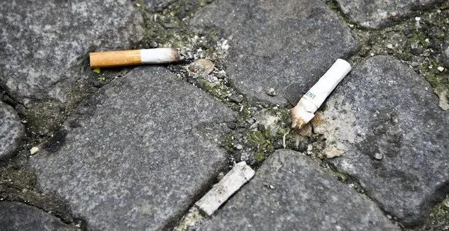 photo  les mégots ramassés sont ensuite recyclés.  &copy;  ouest-france 