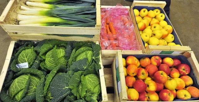 photo  .la nouvelle association va d’abord identifier tous les projets qui touchent à la filière.  &copy;  archives co – hervé petitbon 