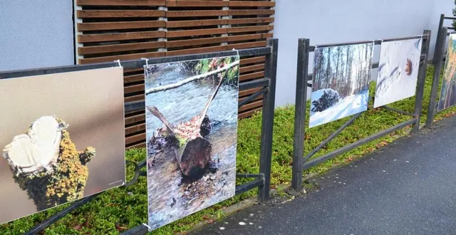 photo  des photographes individuels, d’autres adhérents d’association comme le club image de mamers, présentent des sujets variés et inédits.  &copy;  ouest-france 