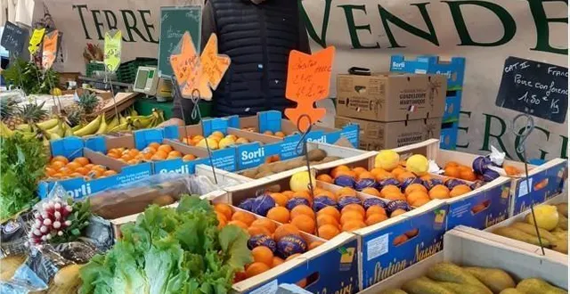 photo  franck bouilleau a repris du service le 6 janvier sur le marché du lude.  &copy;  le maine libre 