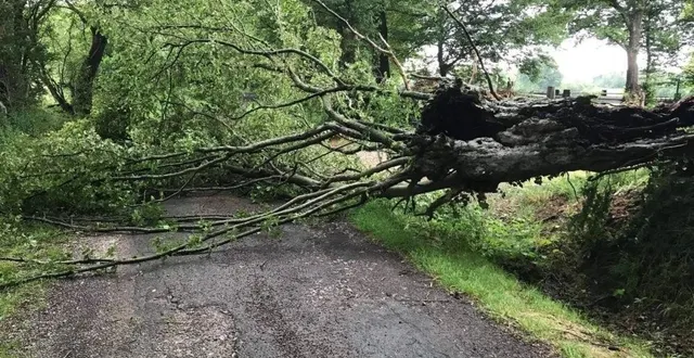 photo  quelques arbres sont tombés sur la route en raison du coup de vent sur la moitié nord de la sarthe.  &copy;  archives le maine libre 