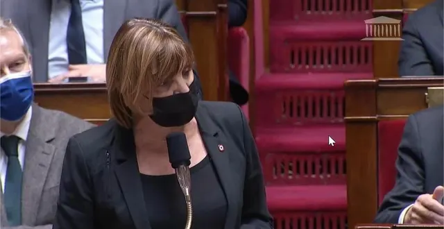 photo  sylvie tolmont, députée (socialistes et apparentés) de la sarthe lors des questions au gouvernement à l’assemblée nationale.  &copy;  capture écran/assemblée nationale 