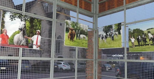 photo  des photos de vaches et de chevaux décorent la halle pendant un mois.  &copy;  ouest-france 