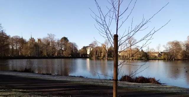 photo  une bonne quinzaine d’arbres d’espèces variées viennent de trouver leur place autour du plan d’eau communal.  &copy;  ouest-france 