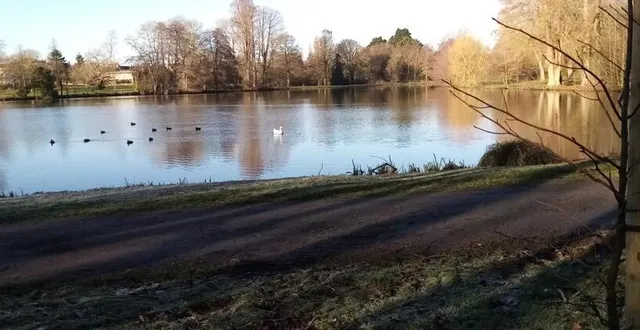 photo  d’ici quelques années, le pourtour de l’étang devrait se couvrir d’un décor d’arbres multicolores. des plantations viennent d’être réalisées en remplacement des arbres abattus. 
